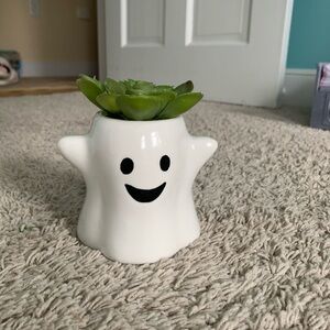White Ghost fake Planter with Green Succulent